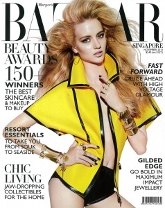 2013-11-Harpers-Bazaar-Award_cover